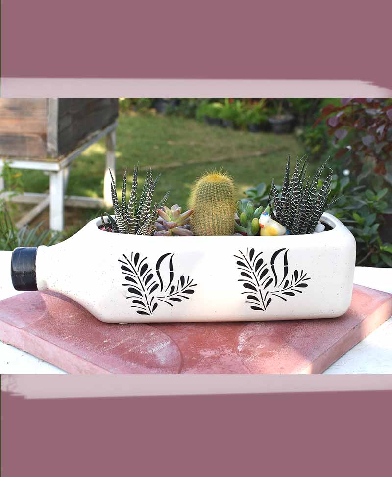 Ceramic Succulents Bottle